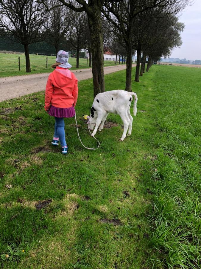 Appartement De Graanzolder Aan Zeeuwse Kust Hoofdplaat Екстериор снимка